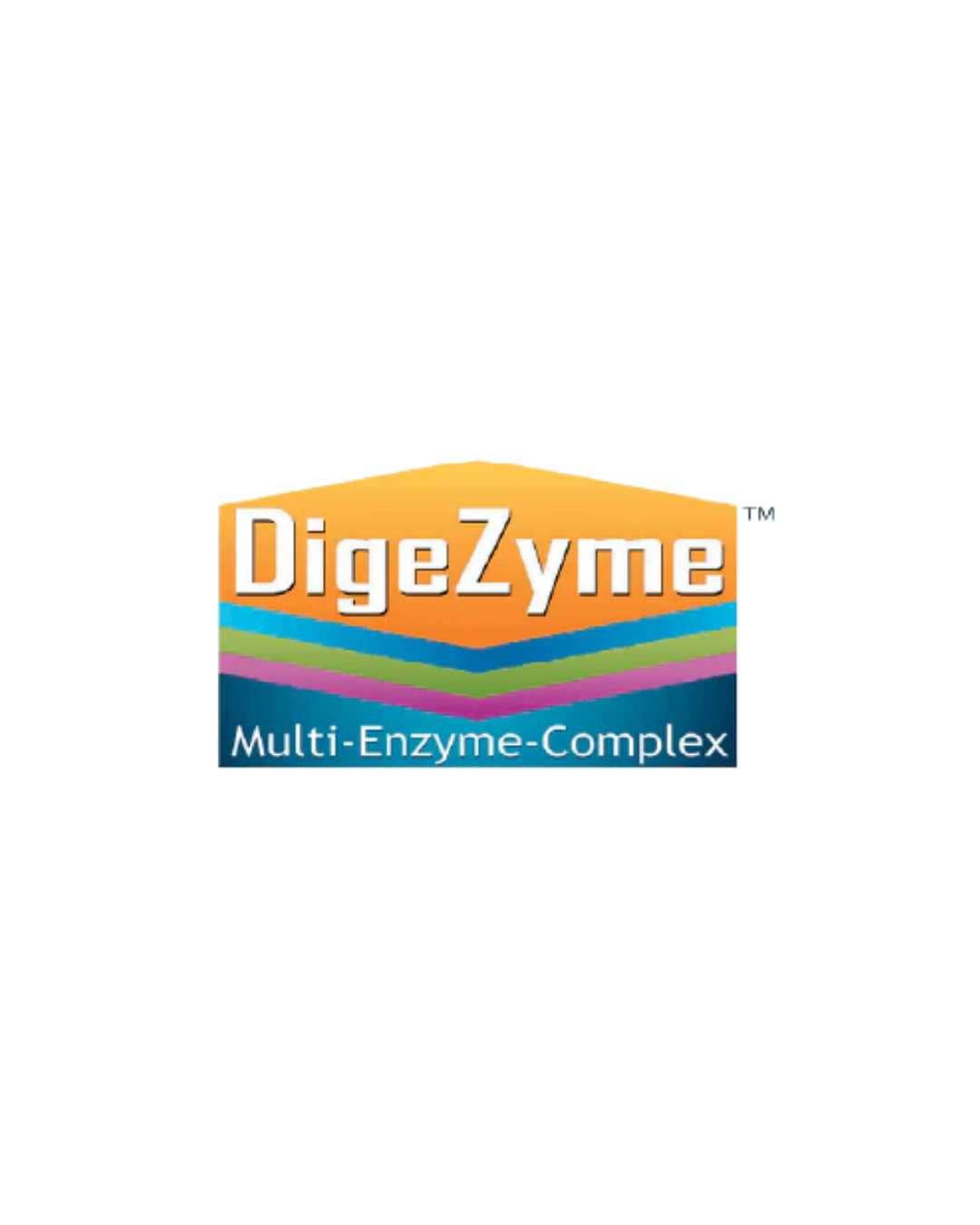 Whey Protein (1KG) con Digezyme - Imagen 2